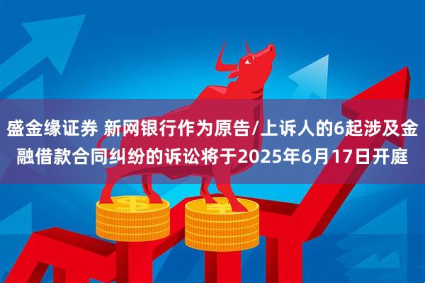 盛金缘证券 新网银行作为原告/上诉人的6起涉及金融借款合同纠纷的诉讼将于2025年6月17日开庭