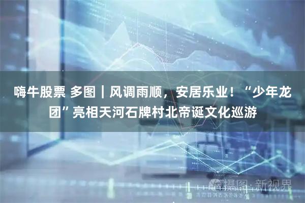 嗨牛股票 多图｜风调雨顺，安居乐业！“少年龙团”亮相天河石牌村北帝诞文化巡游