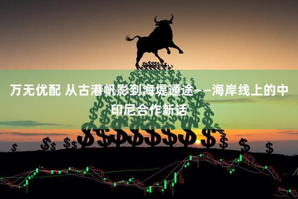 万无优配 从古港帆影到海堤通途——海岸线上的中印尼合作新话